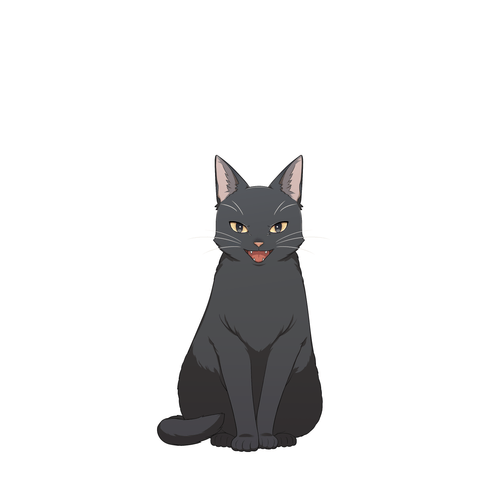 ケイコ