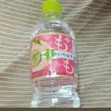 ジェットン
