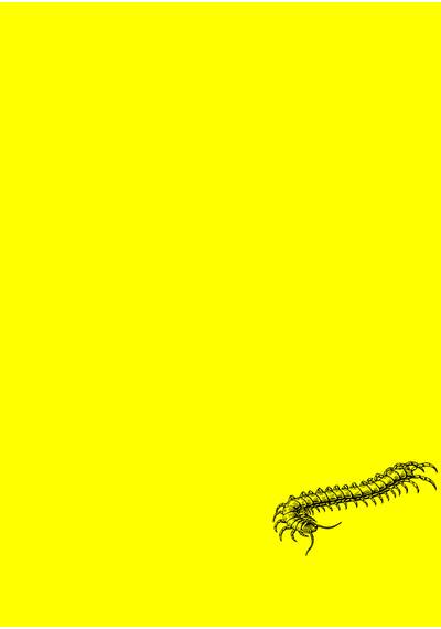 黄色百足