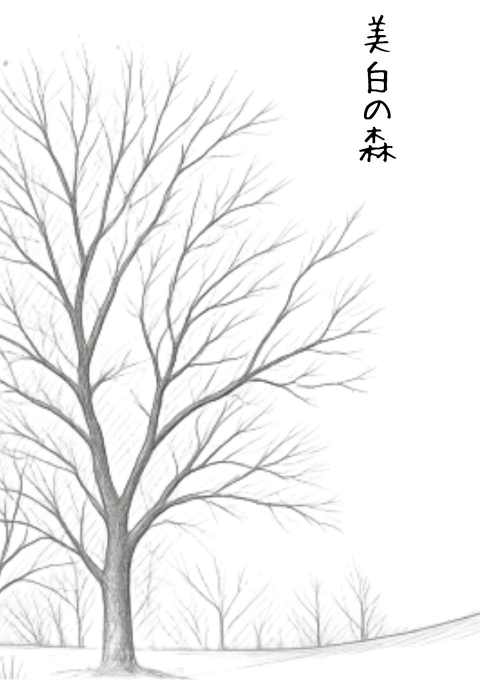 美白の森