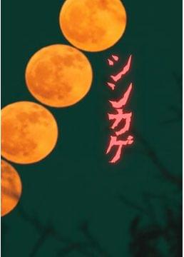 シンカゲ