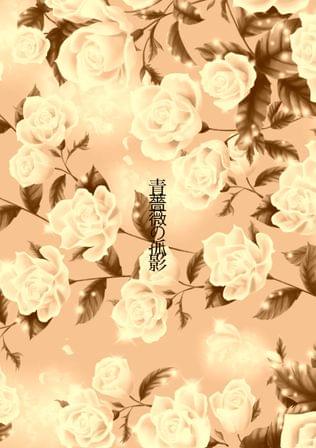 青薔薇の孤影