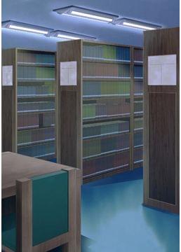 忘れられた図書館の秘密