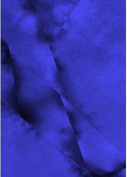 地球警備隊スターフラワーズ