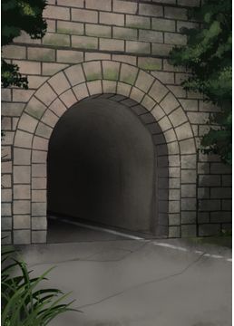 トンネル様