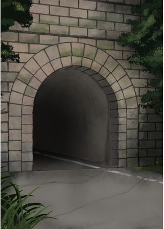 トンネル様