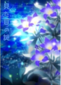 見た目の謎