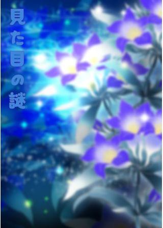 見た目の謎