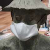 尾長イルカ